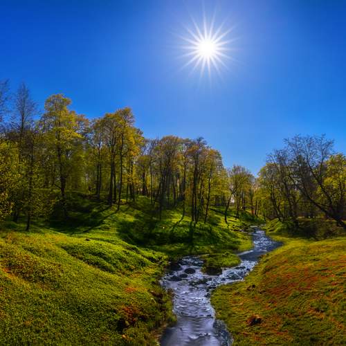 Ораниенбаум III