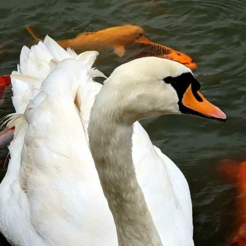 Photo #12215061