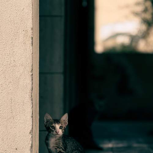 Photo #12215173
