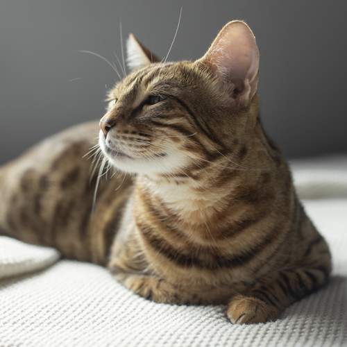 Photo #12215233