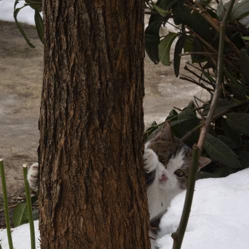 Photo #12215334