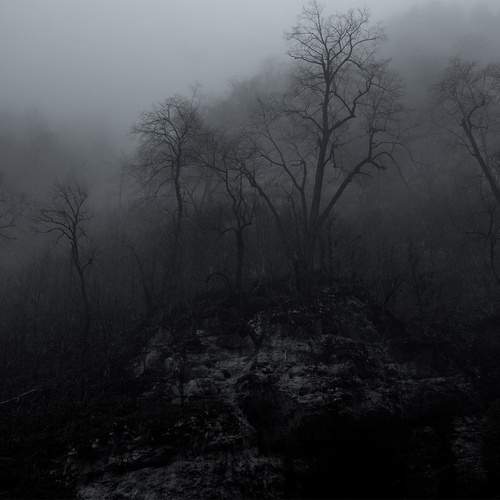 Photo #12215356