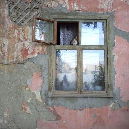 Photo #12215415