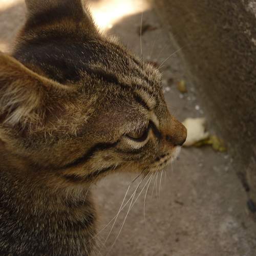 Photo #12215616
