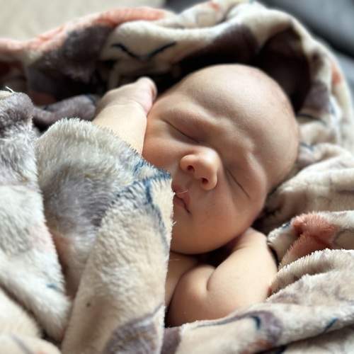Photo #12215654