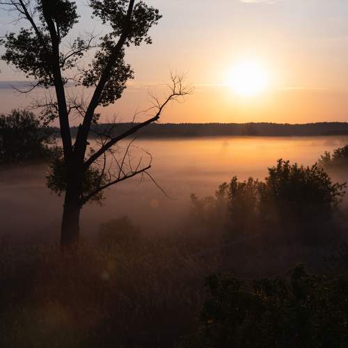 Misty dawn near the village