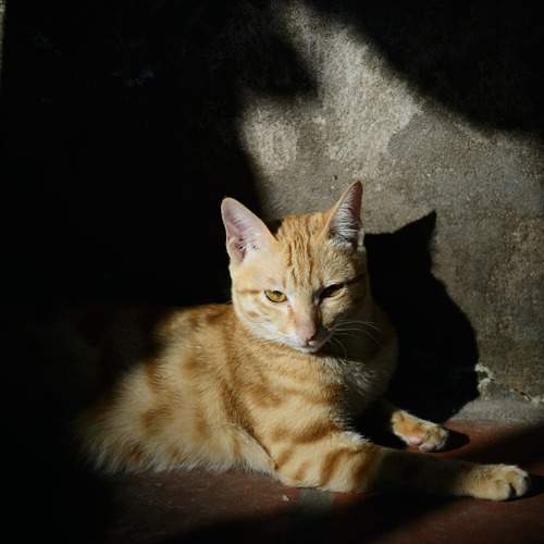 Photo #12215857