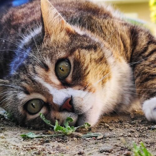 Photo #12216395