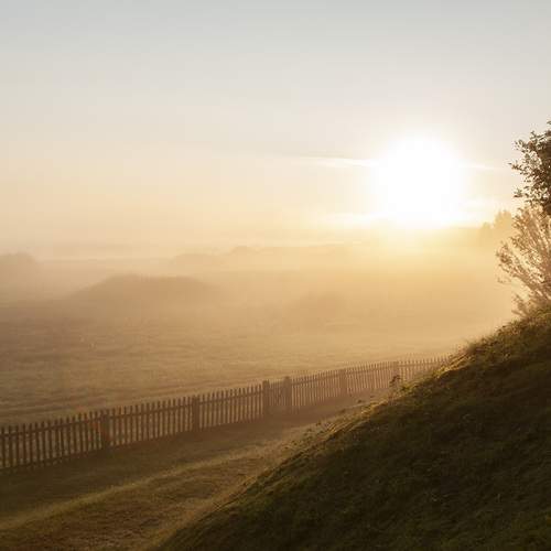 Photo #12216421
