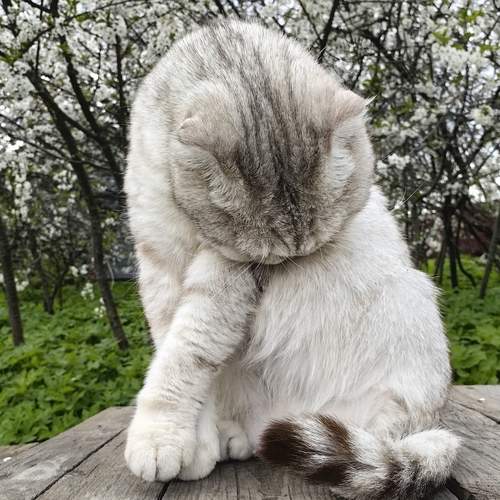 Photo #12216556