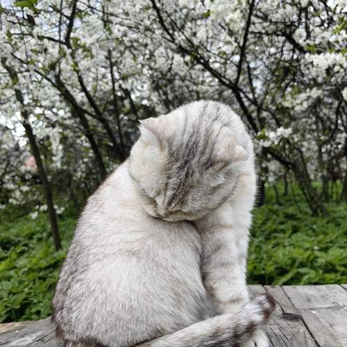 Photo #12216557