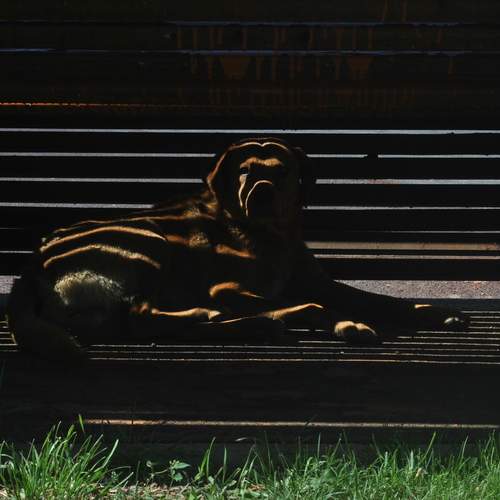 Photo #12216881