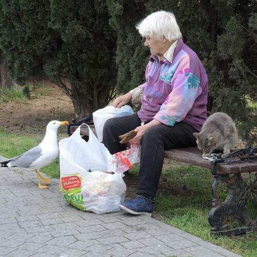 Photo #12217164