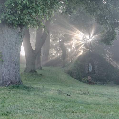 Фотография #12217500