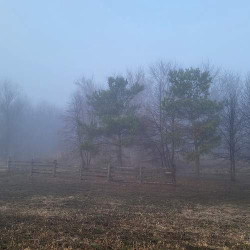 Photo #12217939