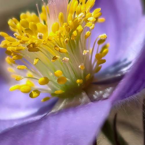 Photo #12217940