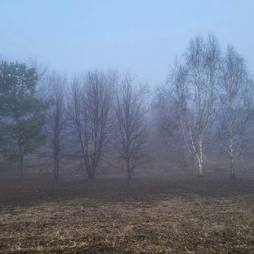 Photo #12217947