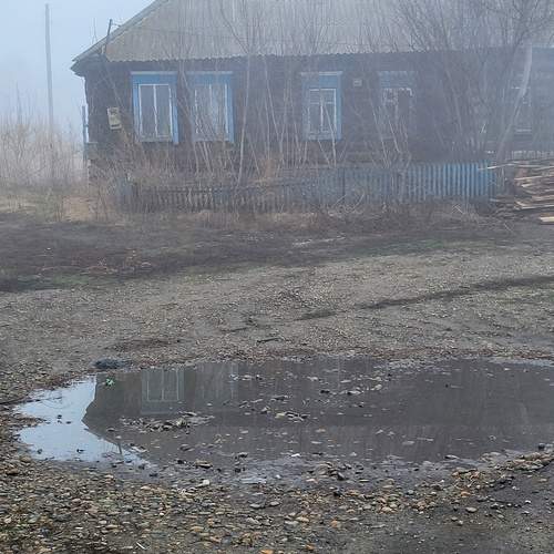 Photo #12217951