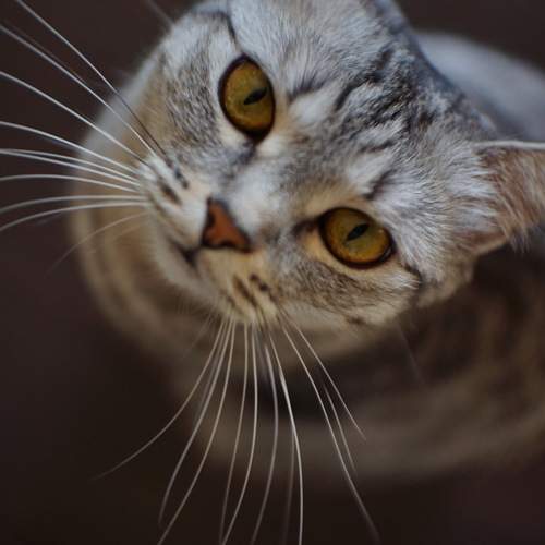 Photo #12218292