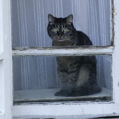Photo #12218300