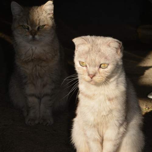 Photo #12218312