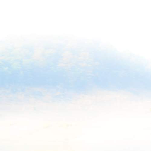 Photo #12218545
