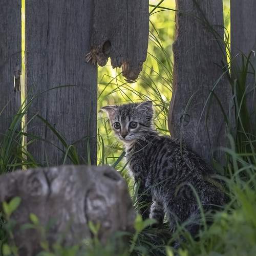 Маленький в большом мире.