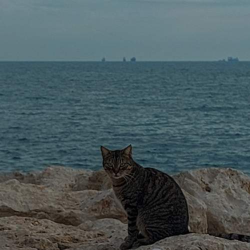 Photo #12218636