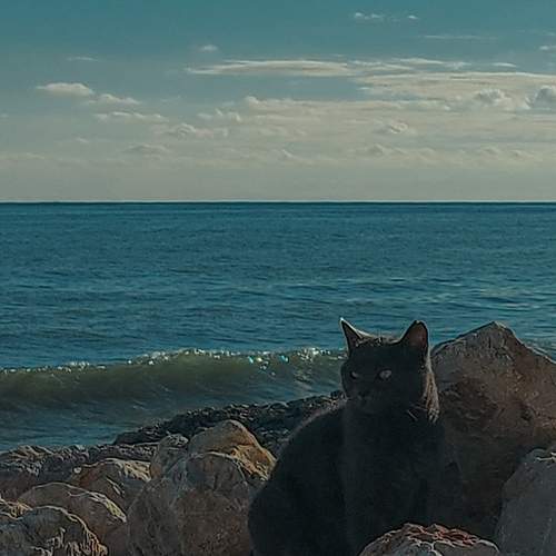 Photo #12218638