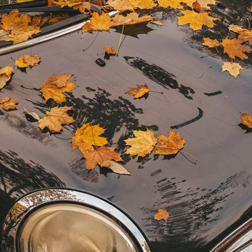 Photo #12218816