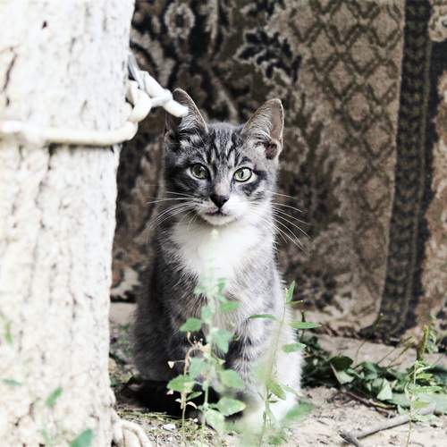 Photo #12218897