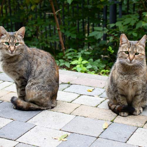 Photo #12218975