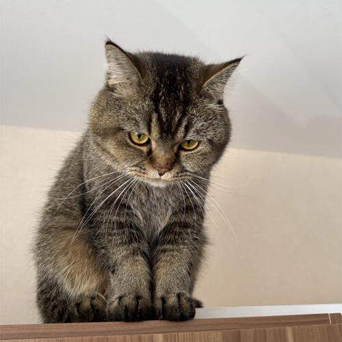 Photo #12219050