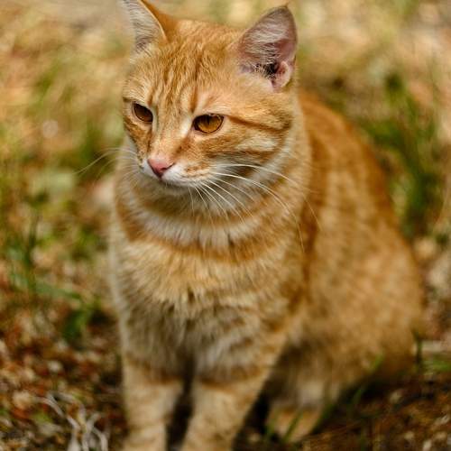 Photo #12219629