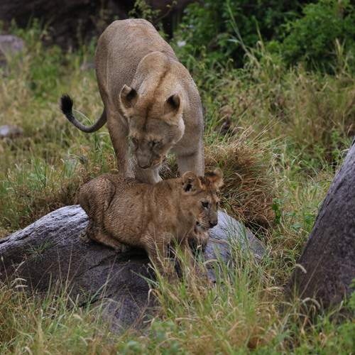 Photo #12219674