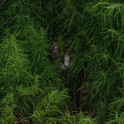 Photo #12220054