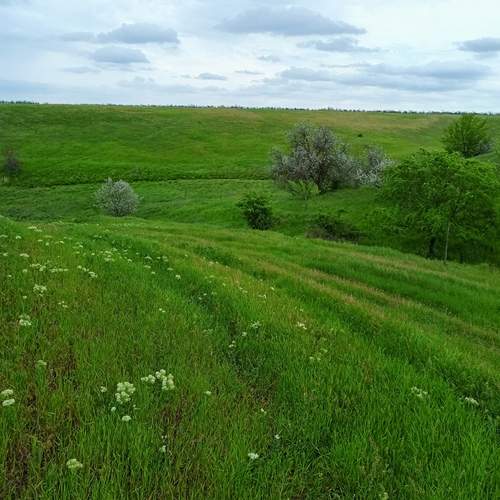 Photo #12220194