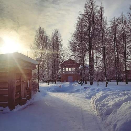 Photo #12220427