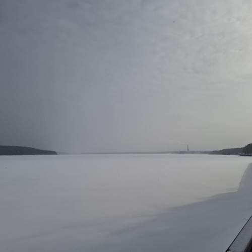 Photo #12220638