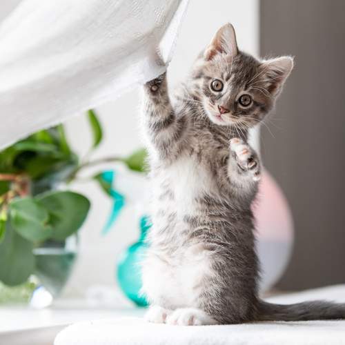 Photo #12220753