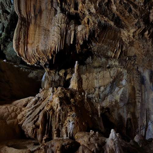 Photo #12220928