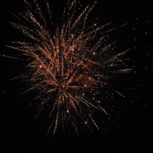 Photo #12221248