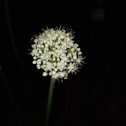 Photo #12221249