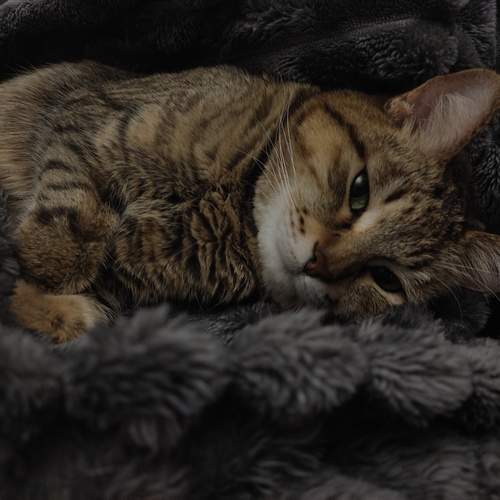 Photo #12221879