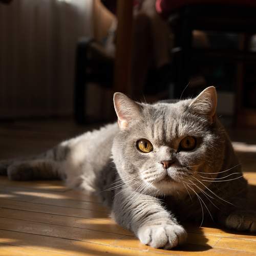 Photo #12222456