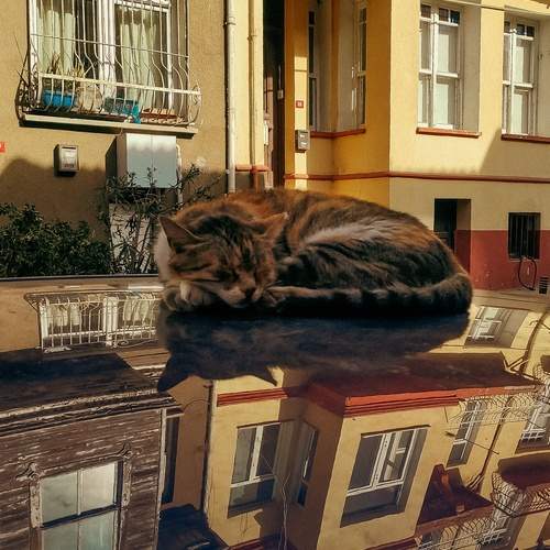 Photo #12222548