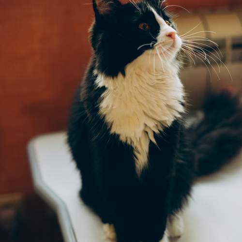 Photo #12222712