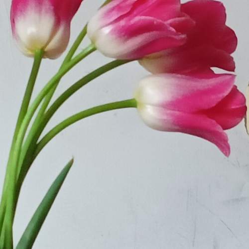 Photo #12222720