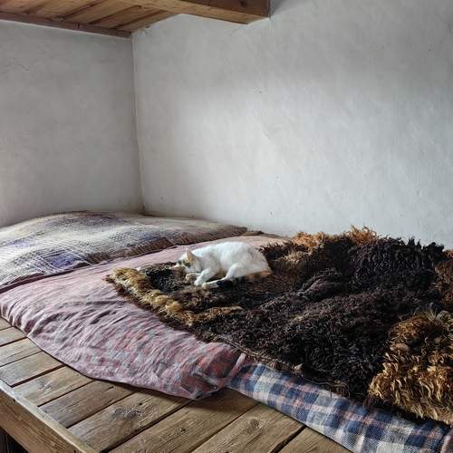 Photo #12222835