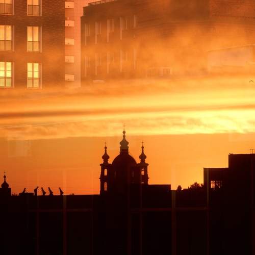 Photo #12223000